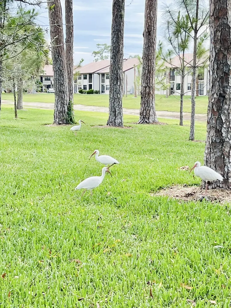 4725 E Lucerne Lakes Boulevard Boulevard E Lake Worth FL 33467