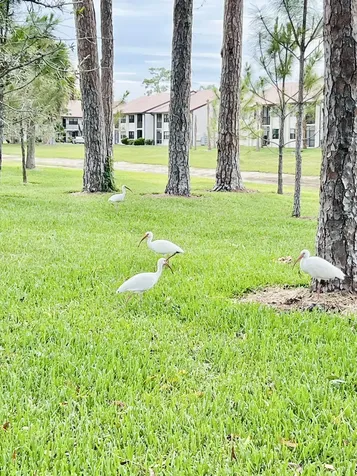4725 E Lucerne Lakes Boulevard Boulevard E Lake Worth FL 33467