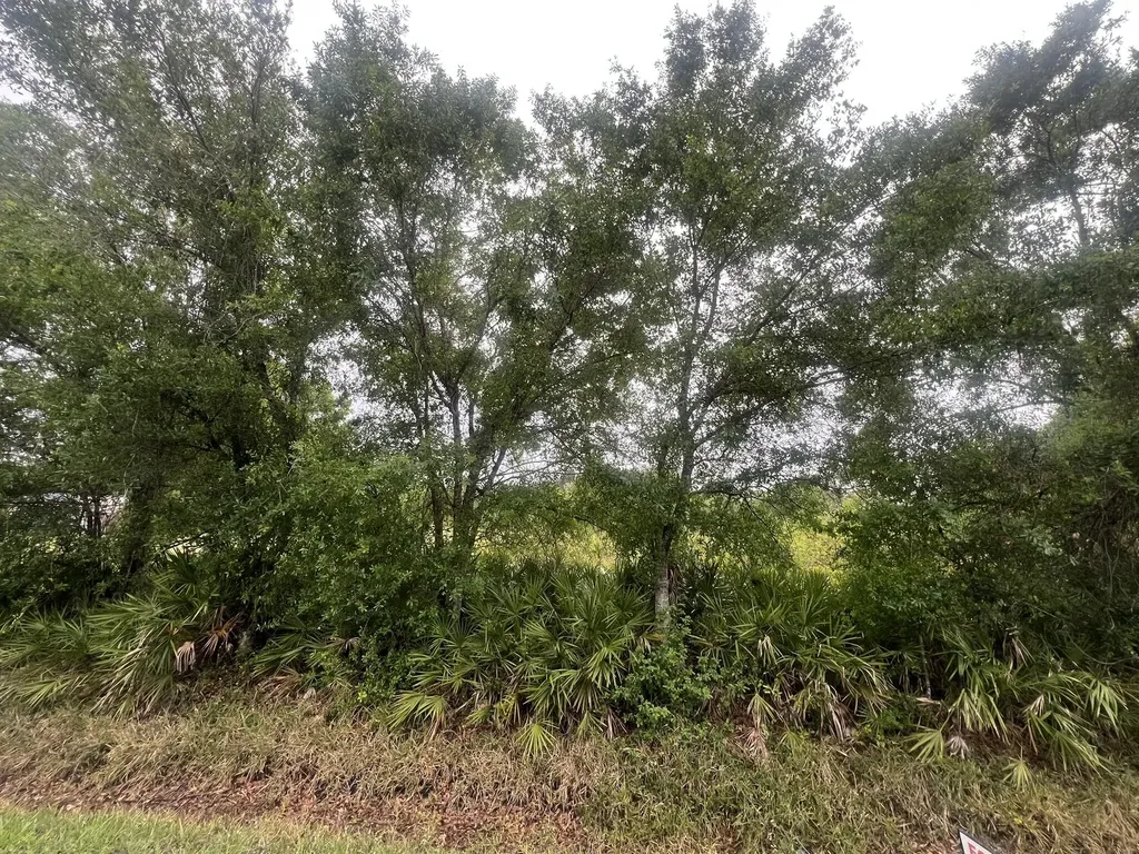 3347 NW 17th Avenue Okeechobee FL 34972