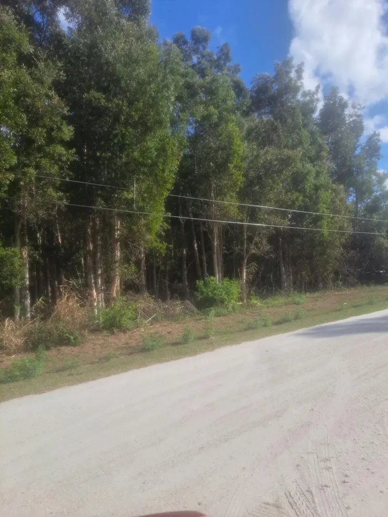 14845 62nd Court N The Acreage FL 33470