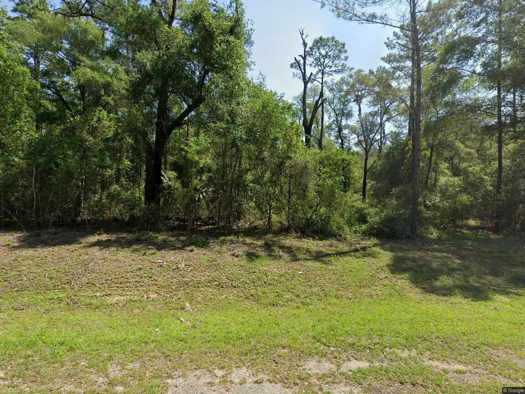 1443 E Odin Drive Dunnellon FL 34434