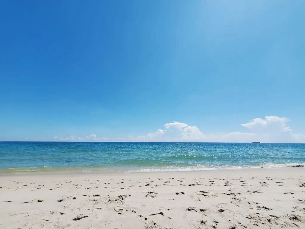 3201 NE 29th Street Fort Lauderdale FL 33308