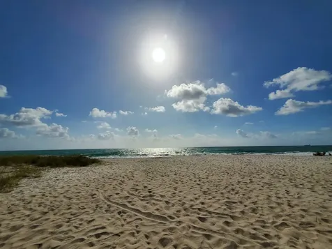 3201 NE 29th Street Fort Lauderdale FL 33308