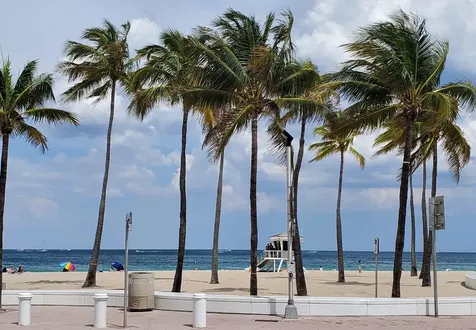 3201 NE 29th Street Fort Lauderdale FL 33308