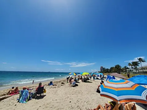 3201 NE 29th Street Fort Lauderdale FL 33308
