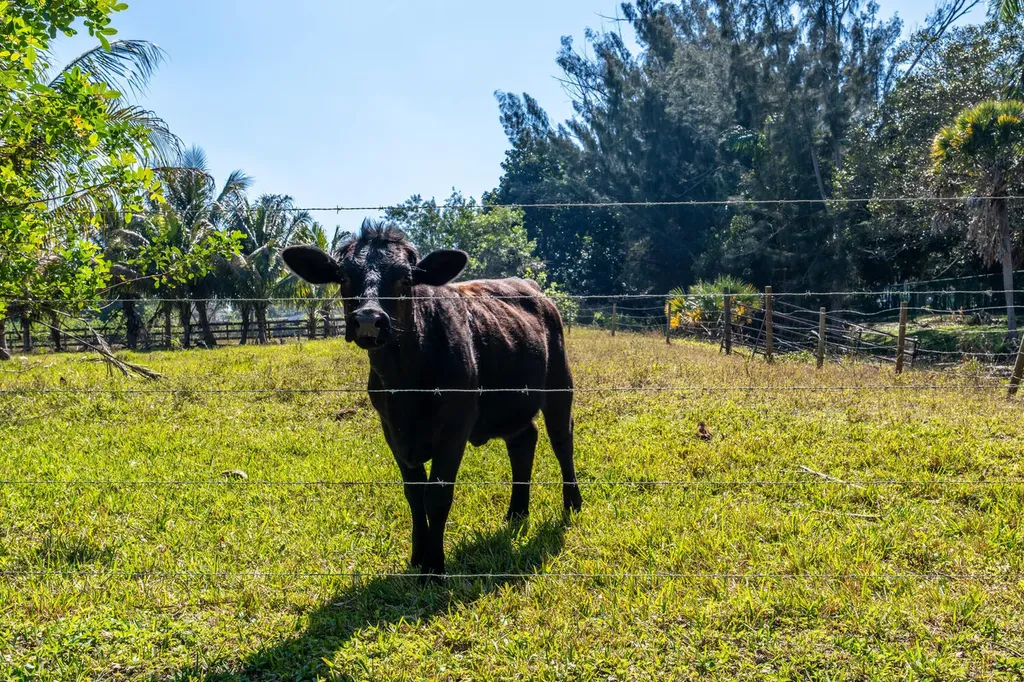 1710 SW 142nd Avenue Davie FL 33325
