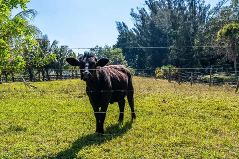 1710 SW 142nd Avenue Davie FL 33325