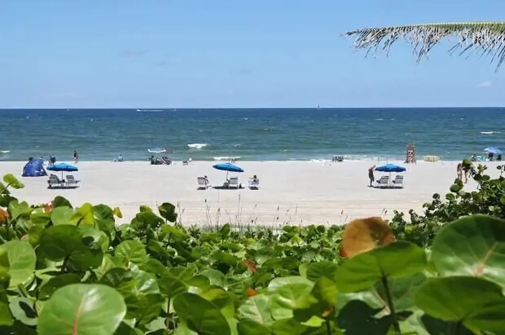 230 NE 26th Avenue Boynton Beach FL 33435