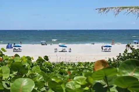 230 NE 26th Avenue Boynton Beach FL 33435
