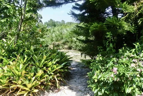121 Ocean Cove Drive Jupiter FL 33477