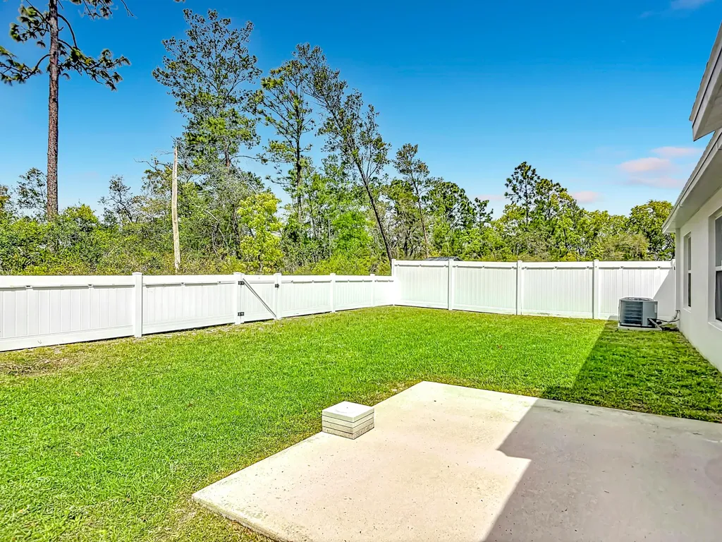 1312 Peach Creek Drive Osteen FL 32764