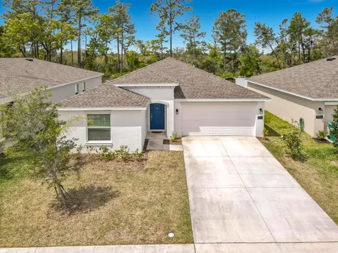 1312 Peach Creek Drive Osteen FL 32764