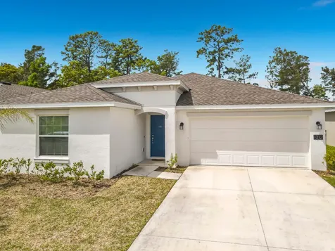 1312 Peach Creek Drive Osteen FL 32764