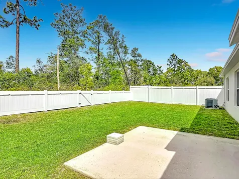 1312 Peach Creek Drive Osteen FL 32764