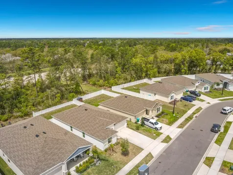 1312 Peach Creek Drive Osteen FL 32764