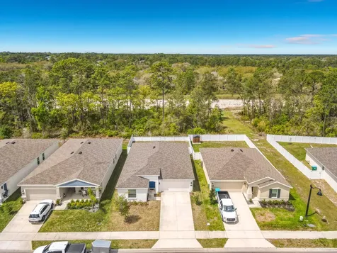 1312 Peach Creek Drive Osteen FL 32764