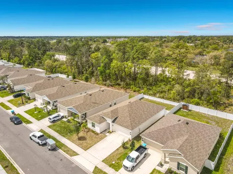 1312 Peach Creek Drive Osteen FL 32764