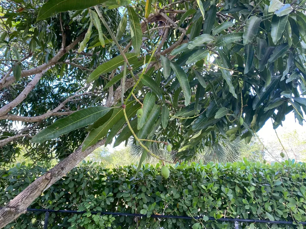 1094 Raintree Lane Wellington FL 33414