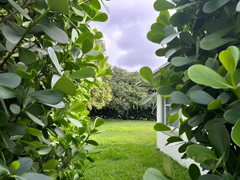 1094 Raintree Lane Wellington FL 33414