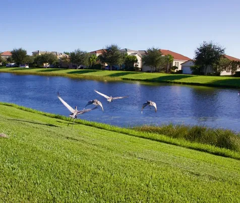 11988 SW Knightsbridge Lane Port St Lucie FL 34987