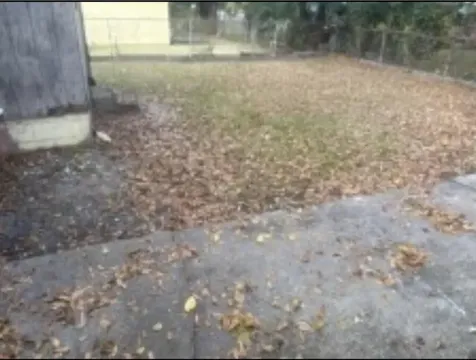 1659 University Street Jacksonville FL 32209