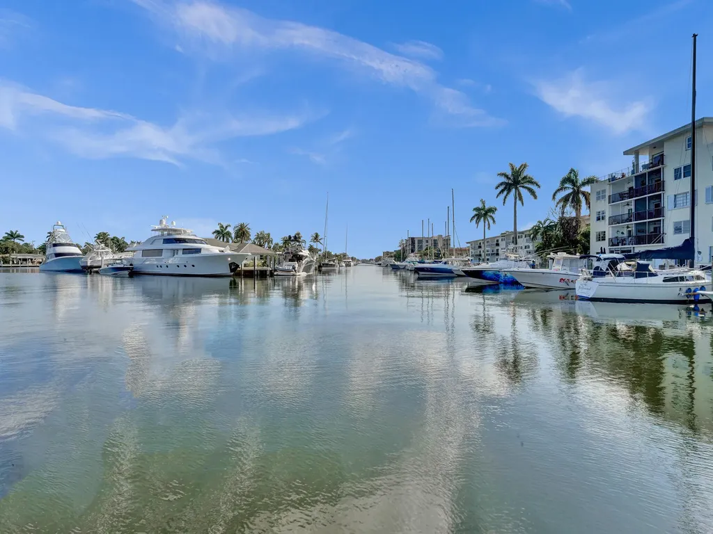 1115 SE 14th Place Fort Lauderdale FL 33316