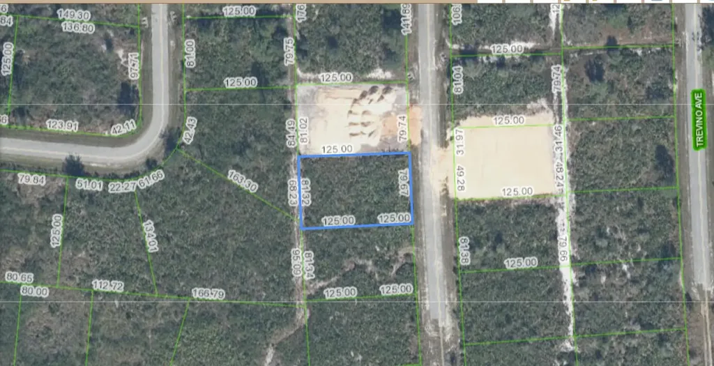 4925 Fettuccine Avenue Sebring FL 33872