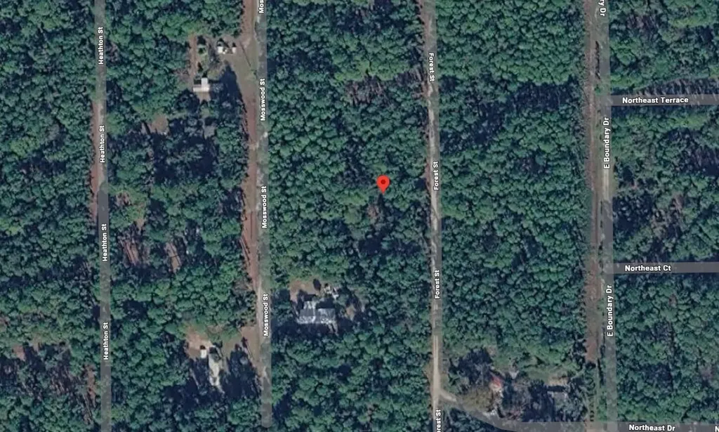 143 Forest Street Georgetown FL 32139