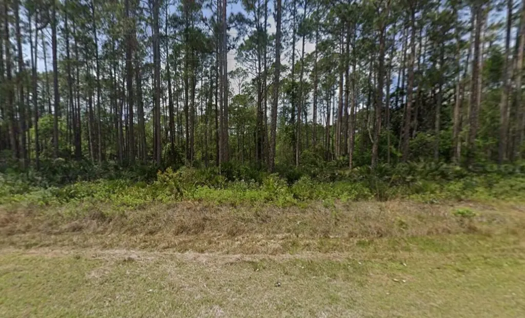 141 E Boundary Drive Georgetown FL 32139