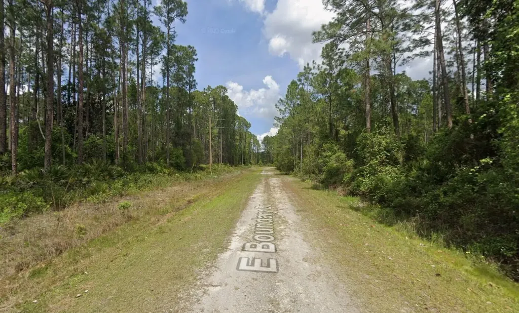 141 E Boundary Drive Georgetown FL 32139