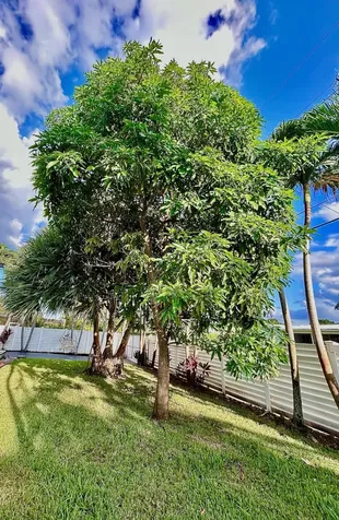 5408 Jackson Street Hollywood FL 33021
