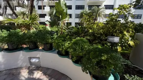 5100 N Ocean Boulevard Lauderdale By The Sea FL 33308