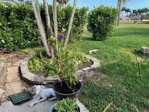 1618 SW Lexington Drive Port St Lucie FL 34953