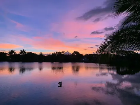 3342 Amsterdam Avenue Cooper City FL 33026