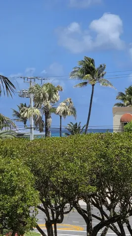 3606 S Ocean Boulevard Highland Beach FL 33487