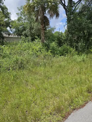 801 Wakaw Lane SW Palm Bay FL 32908