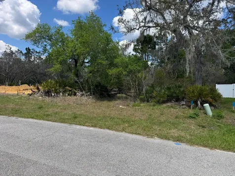 1625 Pickerel Court Poinciana FL 34759