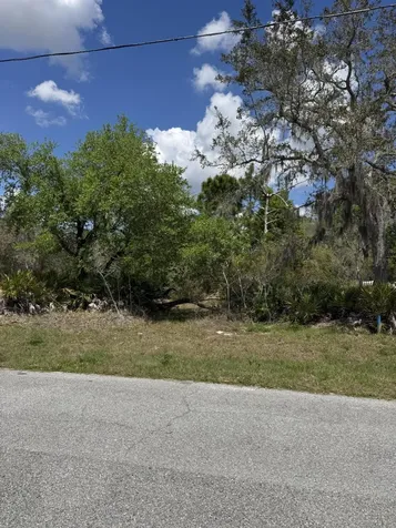 1625 Pickerel Court Poinciana FL 34759