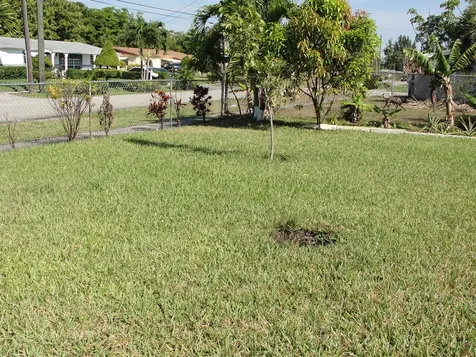 8253 NW 118th Way NW Parkland FL 33076