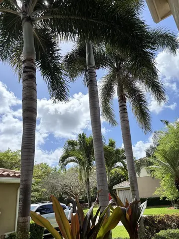 8219 Calabria Lakes Drive Boynton Beach FL 33473