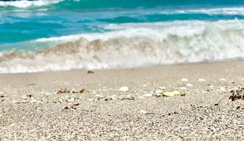 2800 N Ocean Drive Singer Island FL 33404