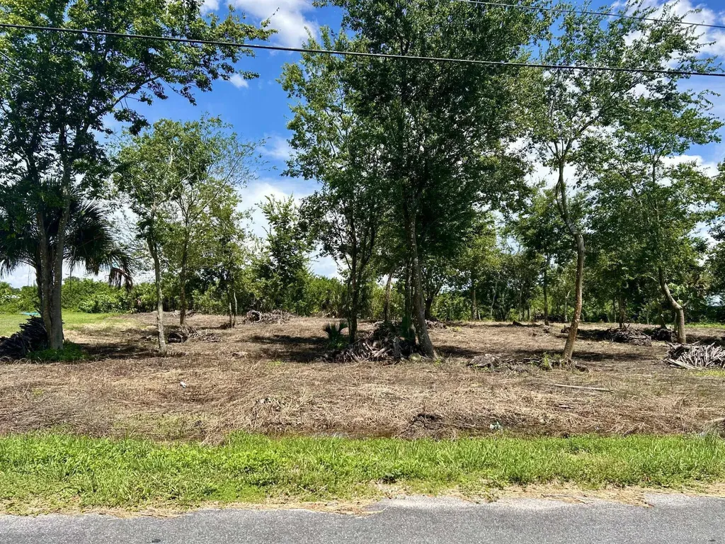 1170 Foxmoor Street Moore Haven FL 33471