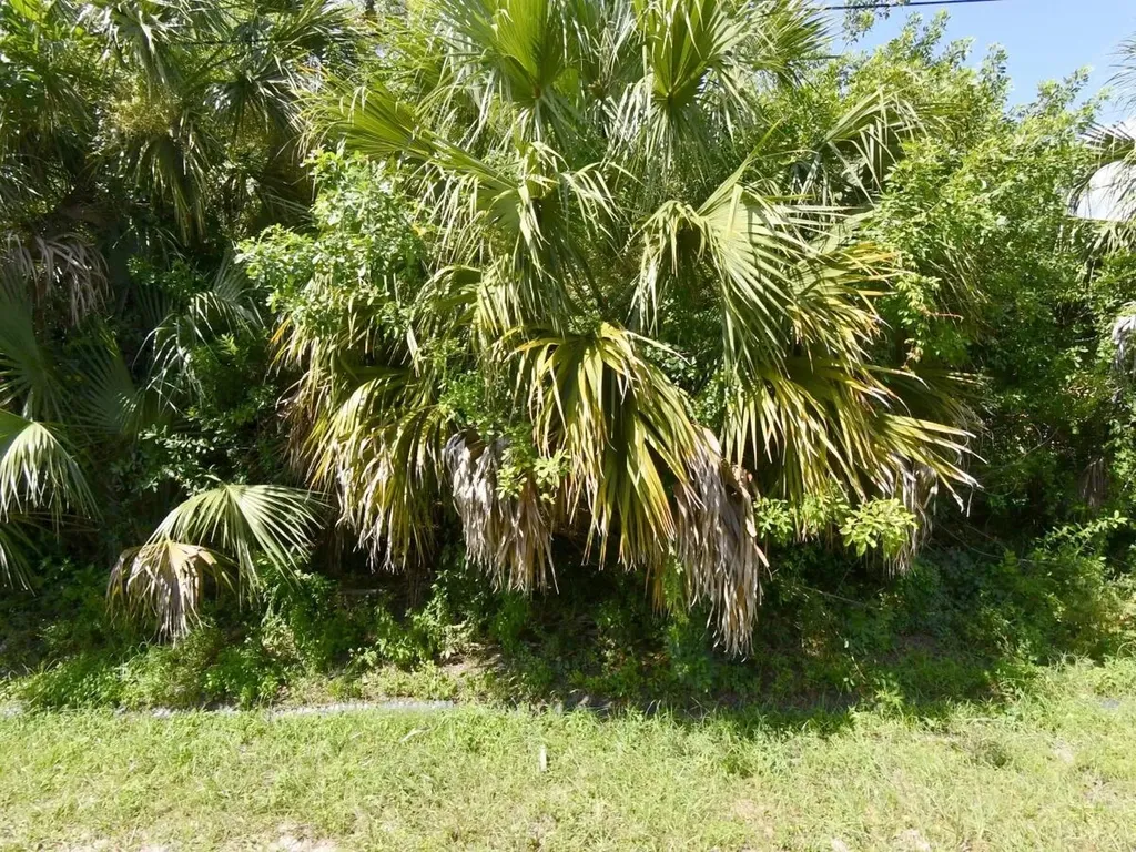 542 SW College Park Road Port St Lucie FL 34953