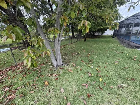1401 NW 75th Terrace Plantation FL 33313