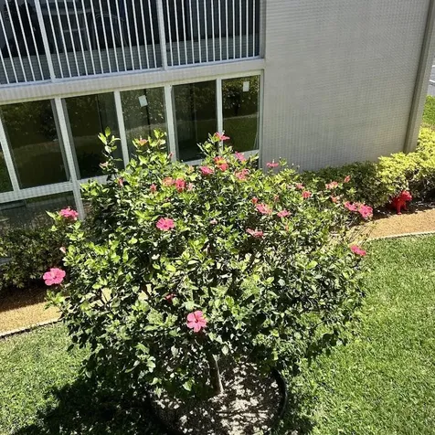 87 Piedmont B Delray Beach FL 33484