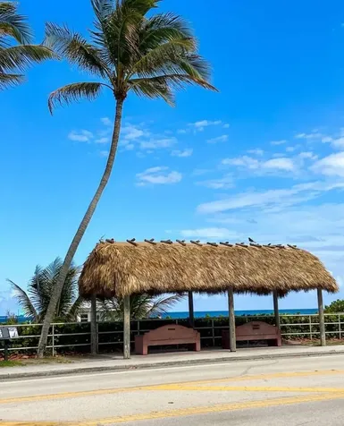1773 Ocala Road North Palm Beach FL 33408