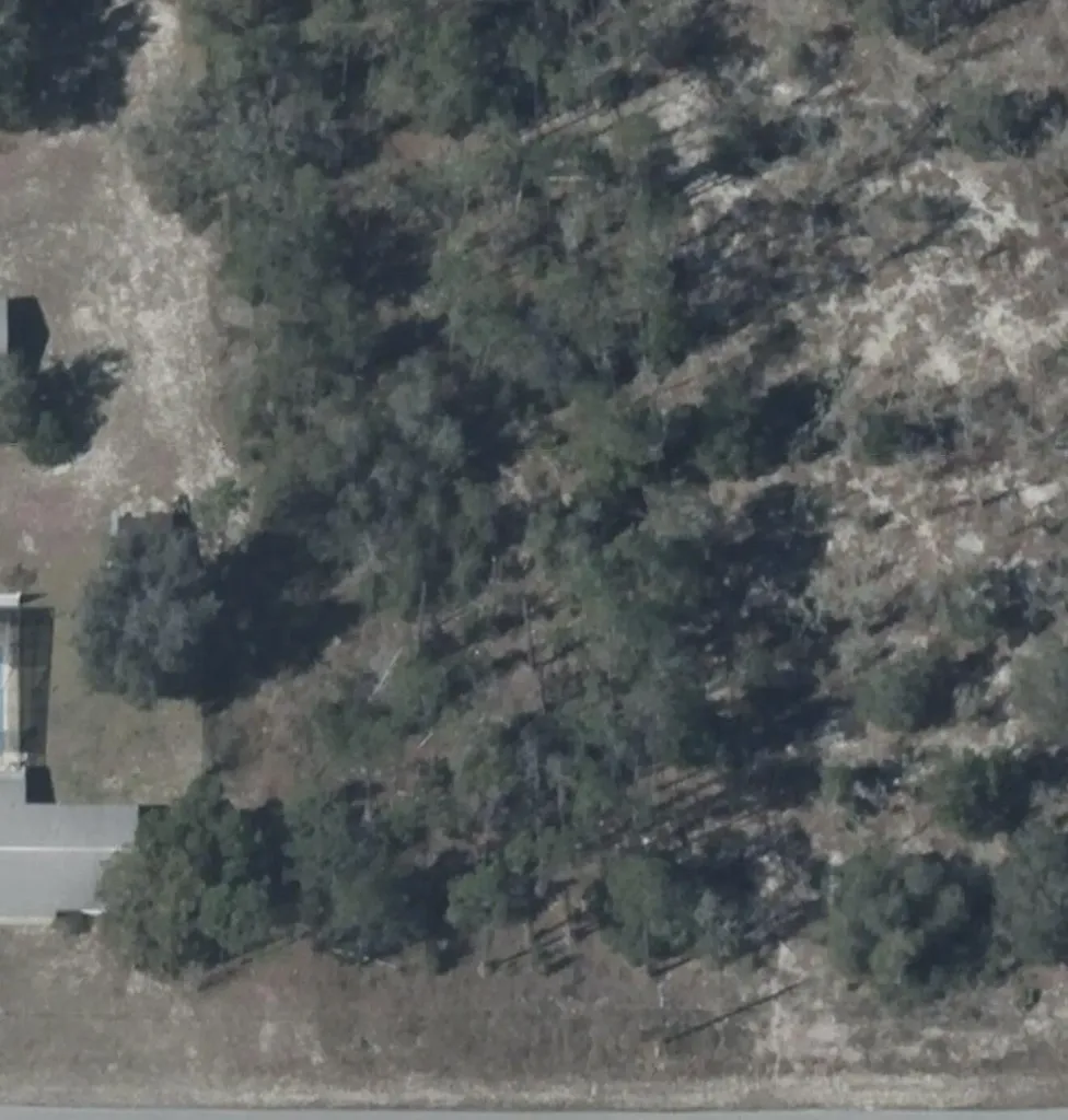 Tbd SW Zinnia Court Dunnellon FL 34431