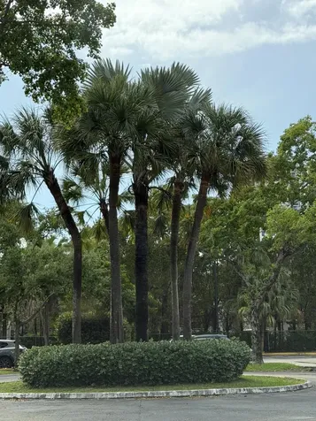 8343 Lake Drive Doral FL 33166