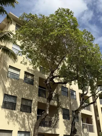 8343 Lake Drive Doral FL 33166