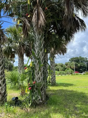 12600 SW Conners Highway Okeechobee FL 34974